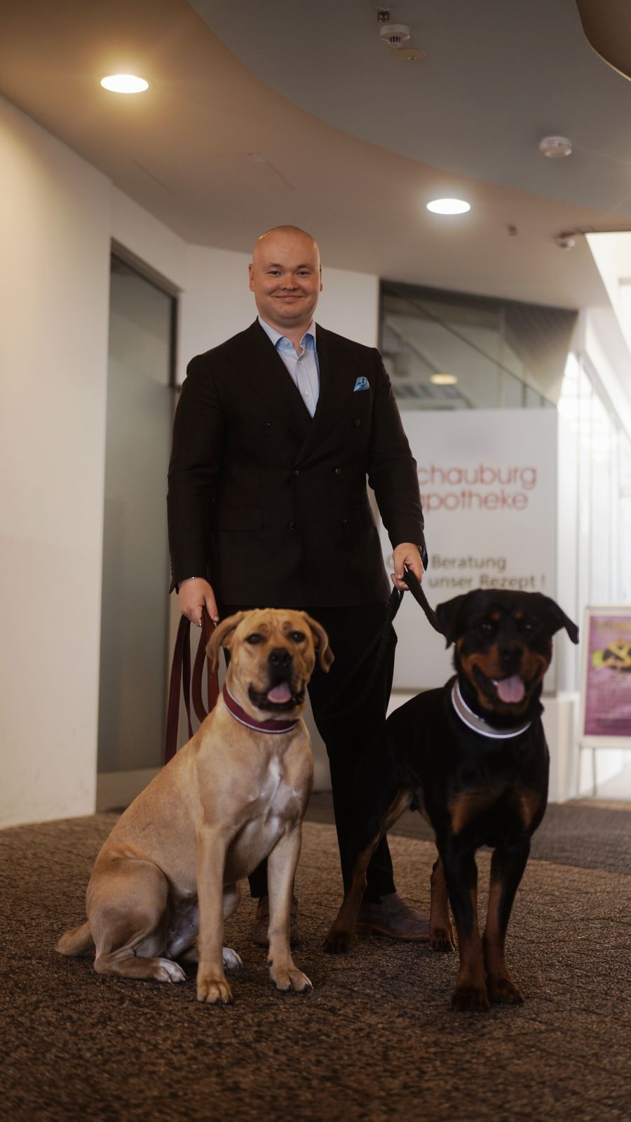 Bürohunde Alma und Kuba bei SAYAHI & PARTNER